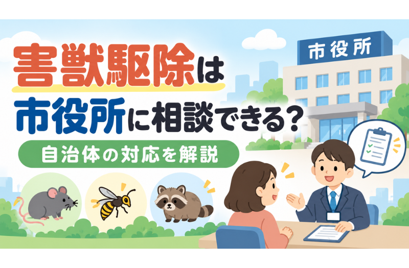 害獣・害虫駆除について市役所へ相談するイメージ