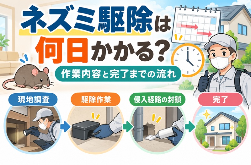 ネズミ駆除にかかる日数と、現地調査・駆除作業・侵入経路の封鎖・完了までの流れを示したイラスト